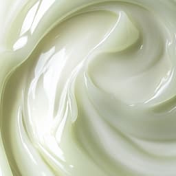 Zabe Premium Membership