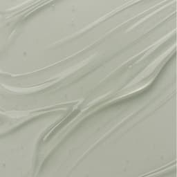 Zabe Classic Membership